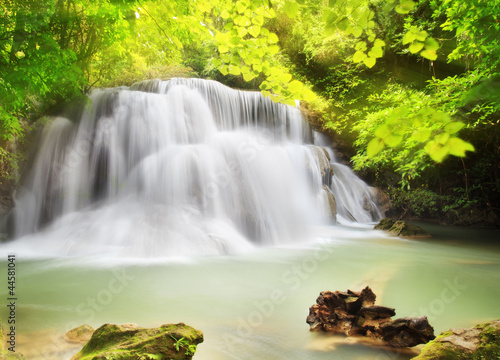 Fotoroleta niebo lato tropikalny park