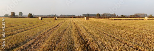 Plakat łąka panorama trawa niebo wiejski