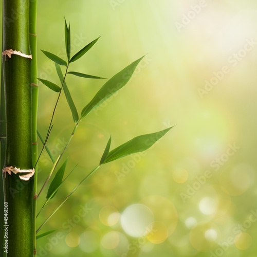 Plakat zen zdrowy natura roślina