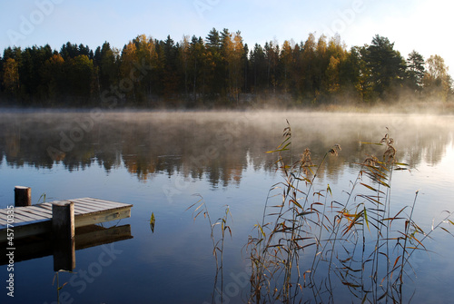 Fotoroleta szwecja jesień natura