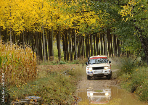 Fotoroleta jazda konna samochód rejs offroad sporty ekstremalne