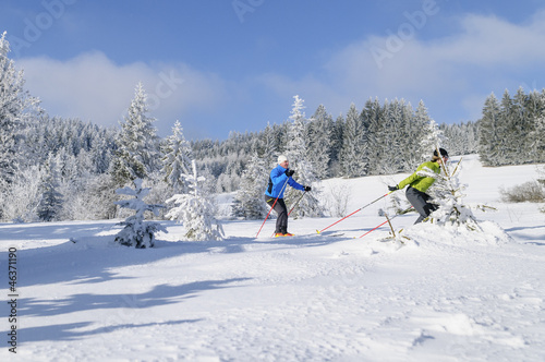 Obraz na płótnie ruch sporty zimowe natura mężczyzna para