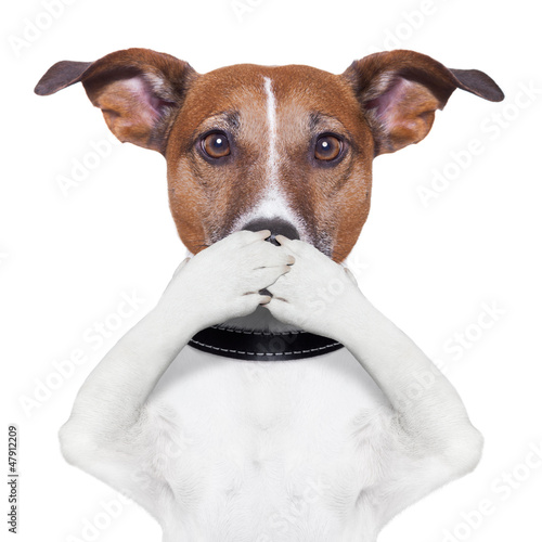 Plakat usta pies zwierzę twarz zamknięty