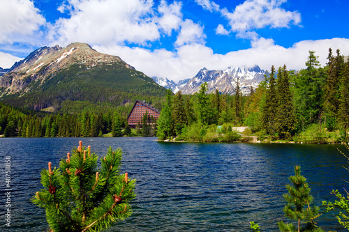 Obraz na płótnie wiejski tatry dolina drzewa