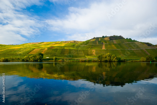 Naklejka rolnictwo natura pejzaż woda park