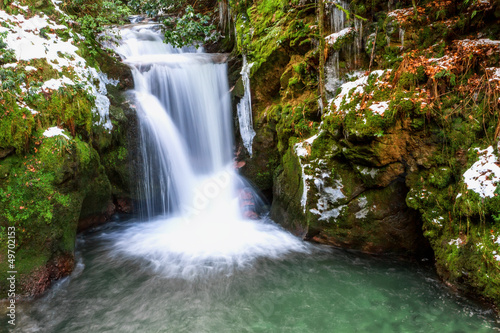 Naklejka las napój woda pejzaż natura