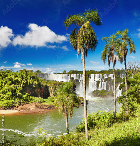 Fototapeta natura park woda