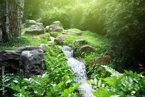 Fotoroleta park góra ruch dżungla las