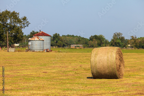 Fototapeta lato siano natura ziarno