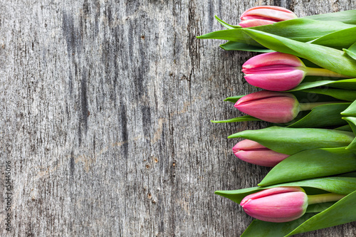 Plakat bukiet roślina tulipan kwiat