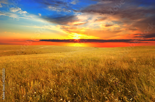 Obraz na płótnie lato niebo trawa dziki