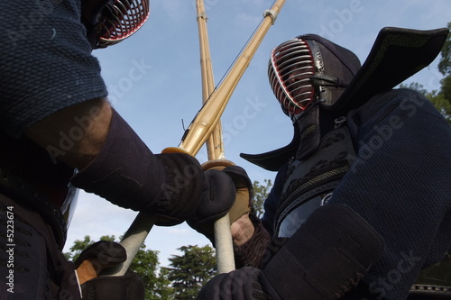 Obraz na płótnie ogród natura sztuka japonia