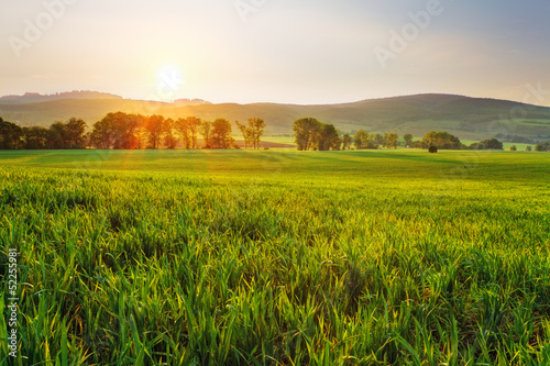 Obraz na płótnie natura lato rolnictwo pejzaż