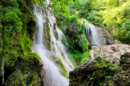 Naklejka kaskada świeży natura roślina