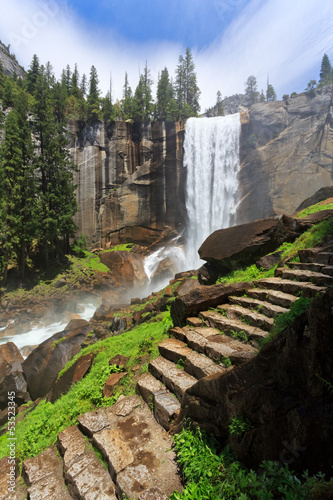 Naklejka park klif sosna kalifornia natura