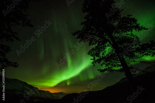 Fotoroleta natura skandynawia finlandia noc