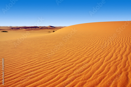 Naklejka pejzaż pustynia arabian wydma niebo