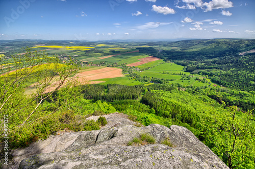 Naklejka panorama pole natura drzewa