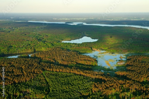 Fotoroleta las woda zdjęcie lotnicze jęzioro błoto