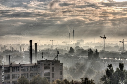 Fotoroleta roślina natura maszyny