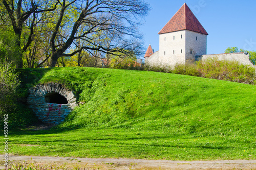 Naklejka niebo perspektywa drzewa spokojny miasto