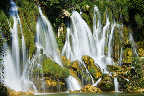 Fototapeta lato pejzaż las