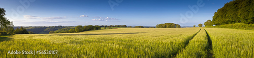 Plakat pejzaż rolnictwo łąka geografia