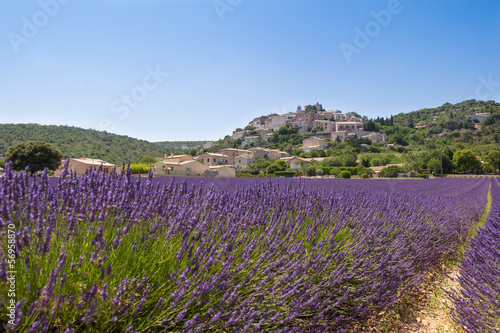 Plakat natura lawenda francja wzgórze