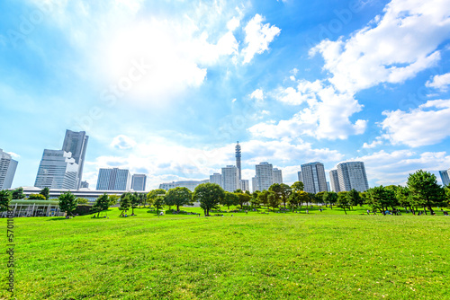 Obraz na płótnie japonia trawa miejski park