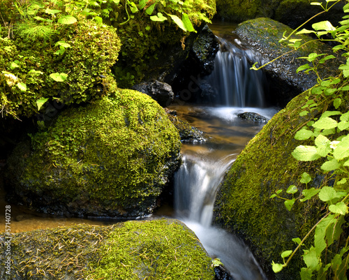 Fotoroleta las obraz japonia natura