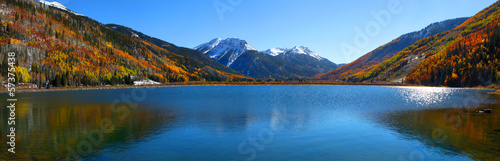 Fotoroleta trawa panoramiczny natura drzewa