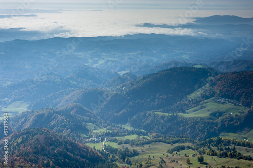 Naklejka natura łąka las trawa