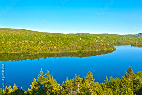 Naklejka kanada drzewa ameryka północna las natura