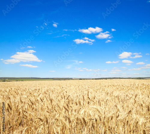 Fototapeta wiejski wioska łąka niebo