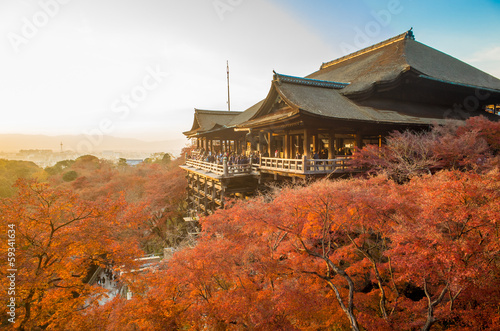 Fotoroleta japonia architektura świątynia wiśnia natura