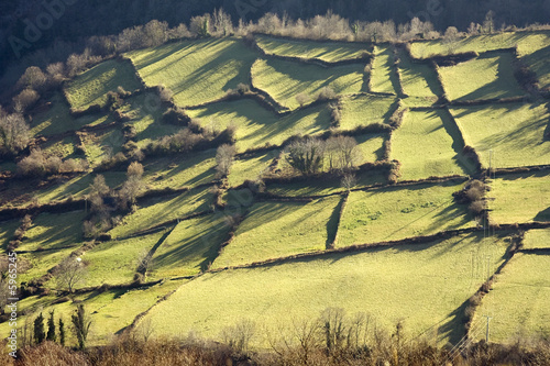 Obraz na płótnie wiejski rolnictwo francja natura krajobraz