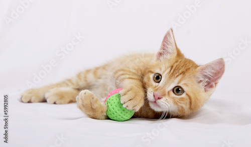 Plakat Kociak z piłką