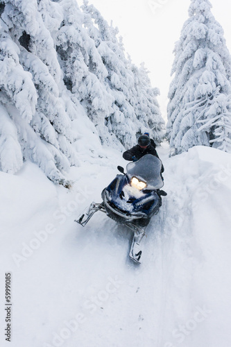 Plakat jazda konna śnieg drzewa mężczyzna ruch