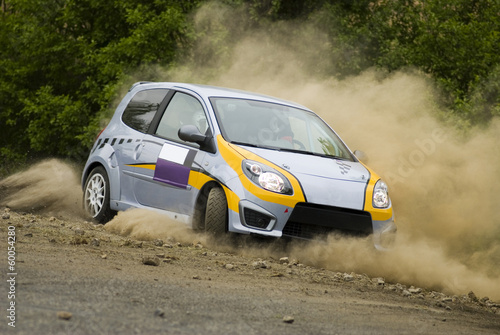 Plakat Samochód rajdowy Renault podczas rajdu