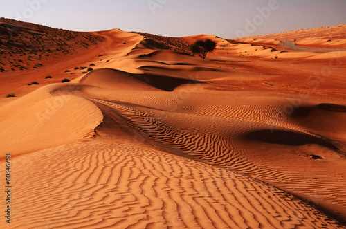 Obraz na płótnie pustynia wzór bezdroża natura dziki