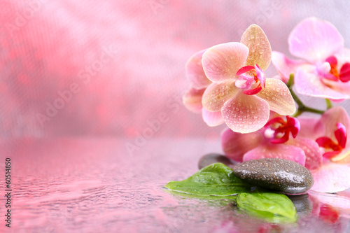 Obraz na płótnie zen roślina natura miłość
