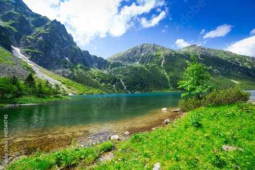 Plakat park natura zakopane