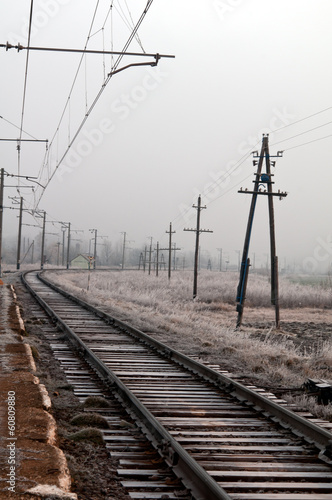 Fototapeta las śnieg transport fiołek