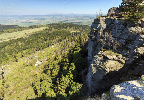 Obraz na płótnie drzewa góra las pejzaż natura