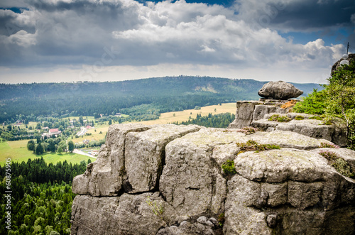 Fotoroleta krajobraz przystojny las natura słońce