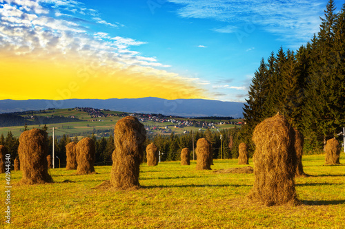 Fotoroleta roślina zboże słoma tatry