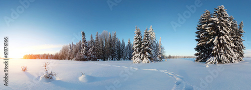 Naklejka panorama niebo dziki śnieg