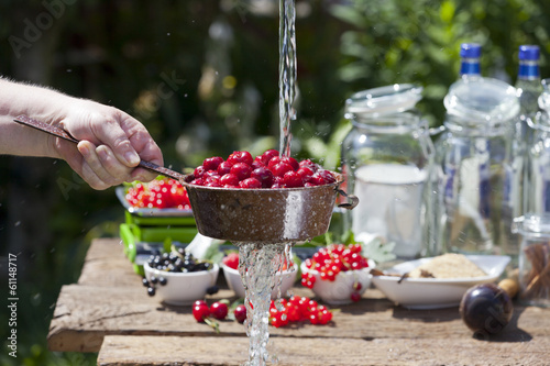 Naklejka napój ogród woda lato owoc