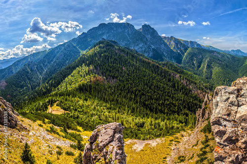 Obraz na płótnie pejzaż natura trawa kwiat wzgórze