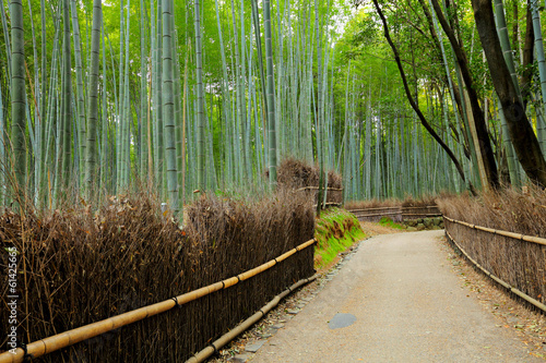 Fototapeta świątynia roślinność japonia orientalne natura